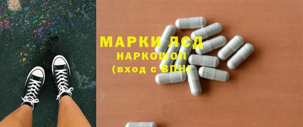 прущие грибы Богданович