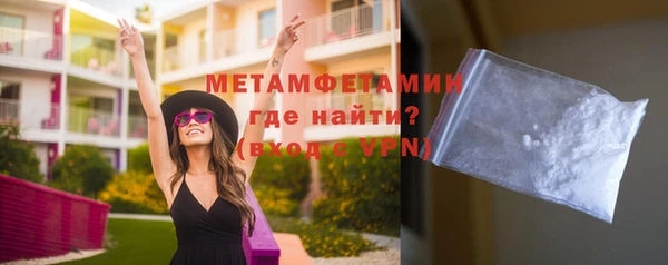 прущие грибы Богданович
