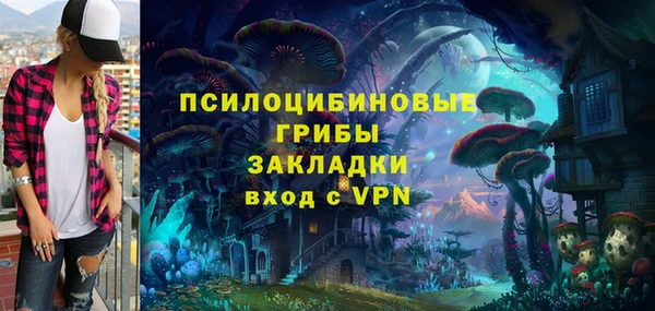 прущие грибы Богданович