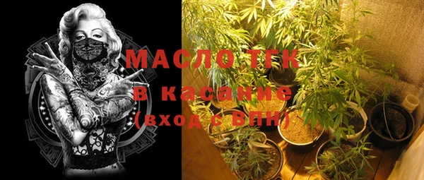 прущие грибы Богданович