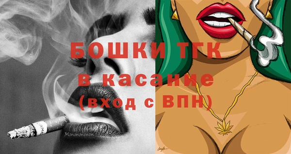 прущие грибы Богданович
