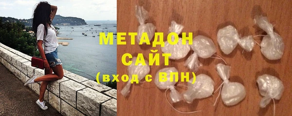 прущие грибы Богданович