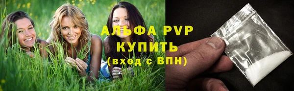 трава Богородицк